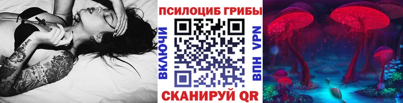 даркнет сайт  Гуково  Галлюциногенные грибы Cubensis 