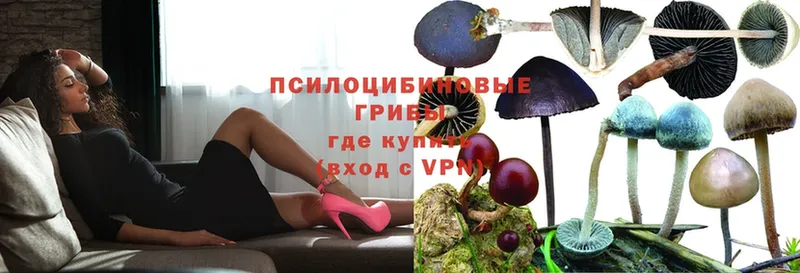 ОМГ ОМГ ссылки  Гуково  Псилоцибиновые грибы мицелий  где можно купить наркотик 